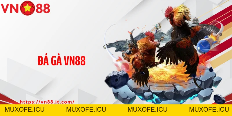 Đá Gà VN88: Sân Chơi Lý Tưởng Cho Các Tín Đồ Đam Mê Chọi Kê