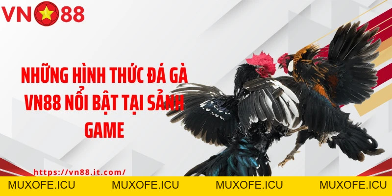Đá Gà VN88: Sân Chơi Lý Tưởng Cho Các Tín Đồ Đam Mê Chọi Kê