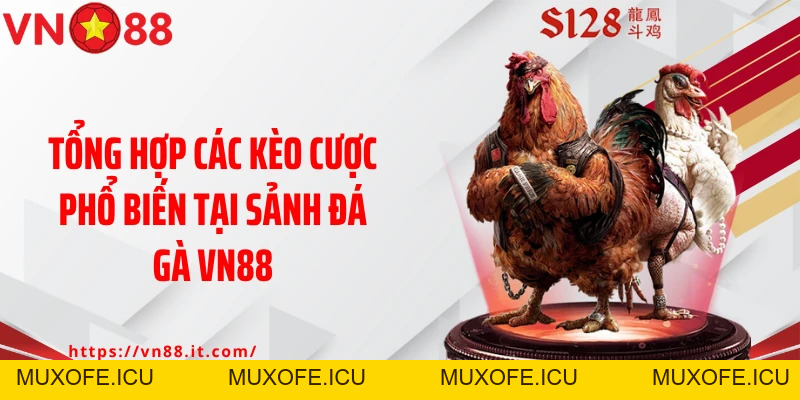 Đá Gà VN88: Sân Chơi Lý Tưởng Cho Các Tín Đồ Đam Mê Chọi Kê