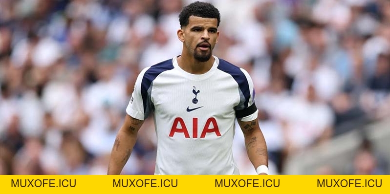 Dự đoán Tottenham vs Fulham 30/11 - Vòng 13 Ngoại hạng Anh