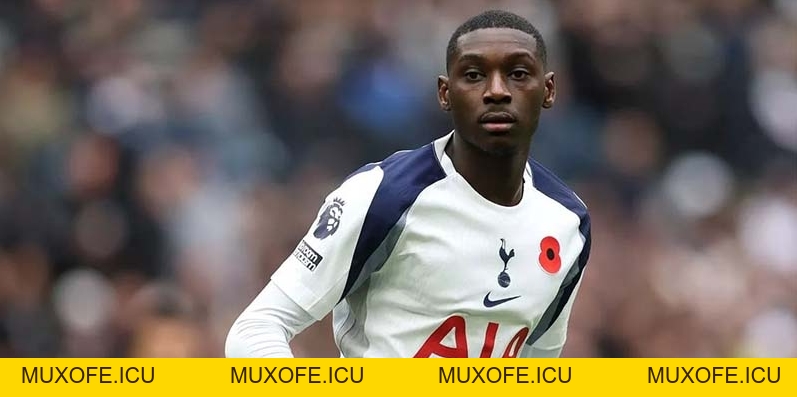 Dự đoán Tottenham vs Fulham 30/11 - Vòng 13 Ngoại hạng Anh