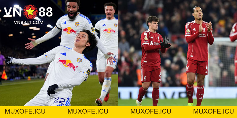 Dự đoán Leeds vs Liverpool 07-12 - Vòng 15 Ngoại hạng Anh