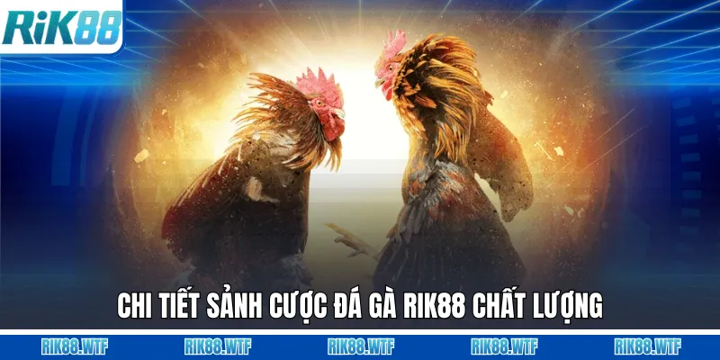 Đá Gà Rik88 - Đấu Trường Trực Tiếp Kịch Tính Mỗi Ngày