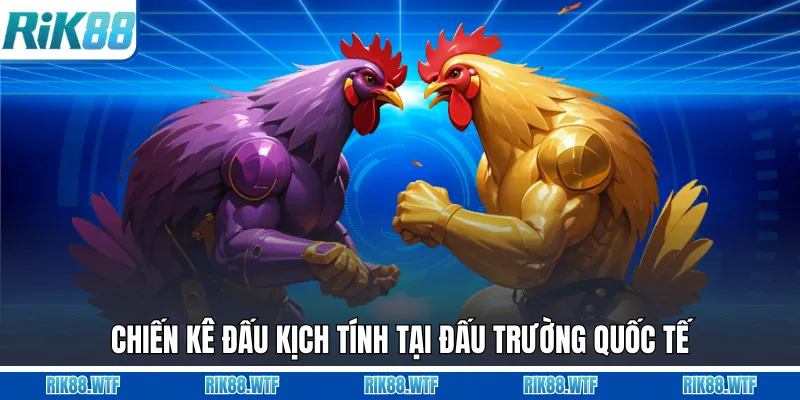 Đá Gà Rik88 - Đấu Trường Trực Tiếp Kịch Tính Mỗi Ngày
